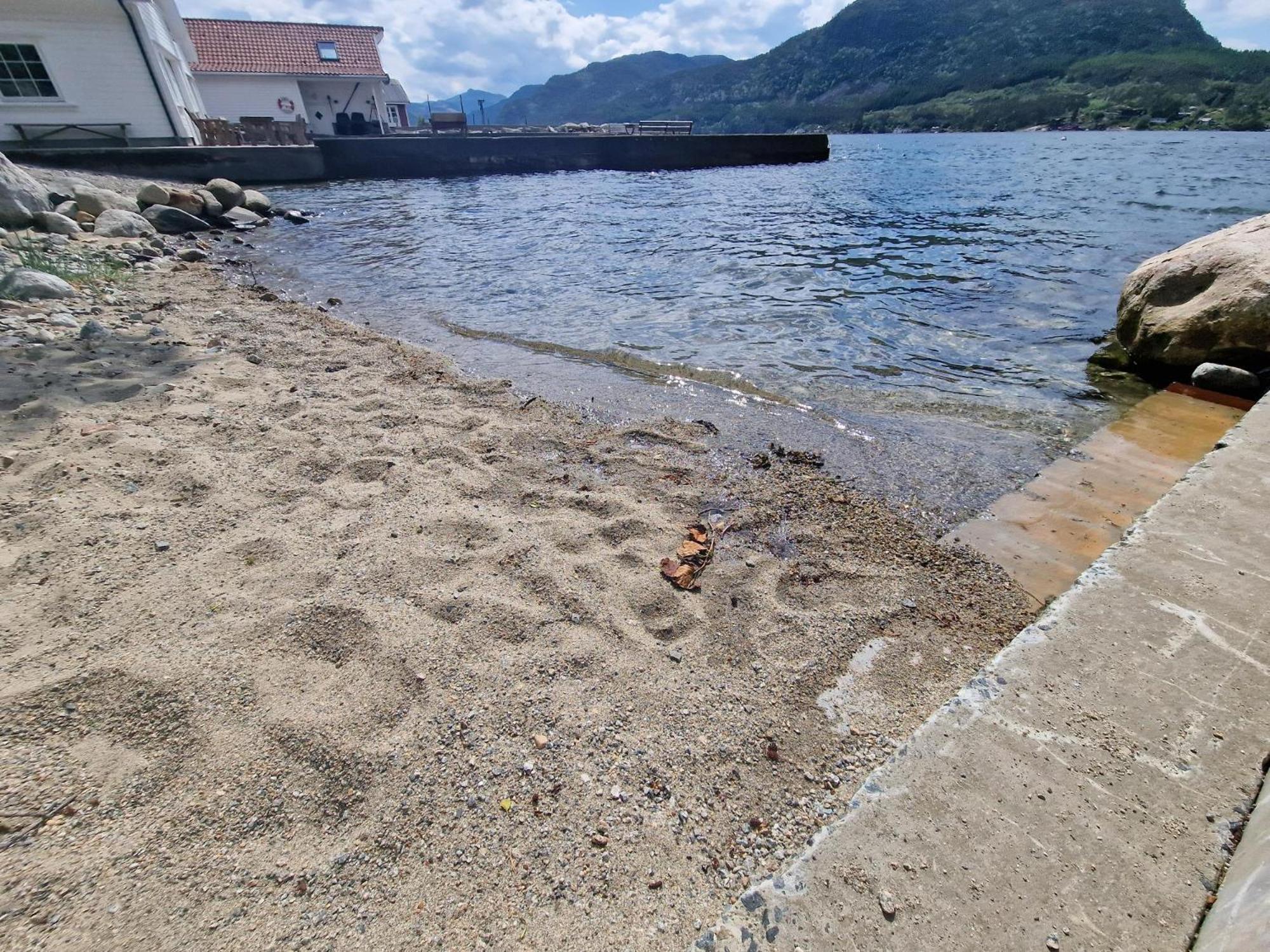 Preikestolen Panorama - Seaside Apartment *